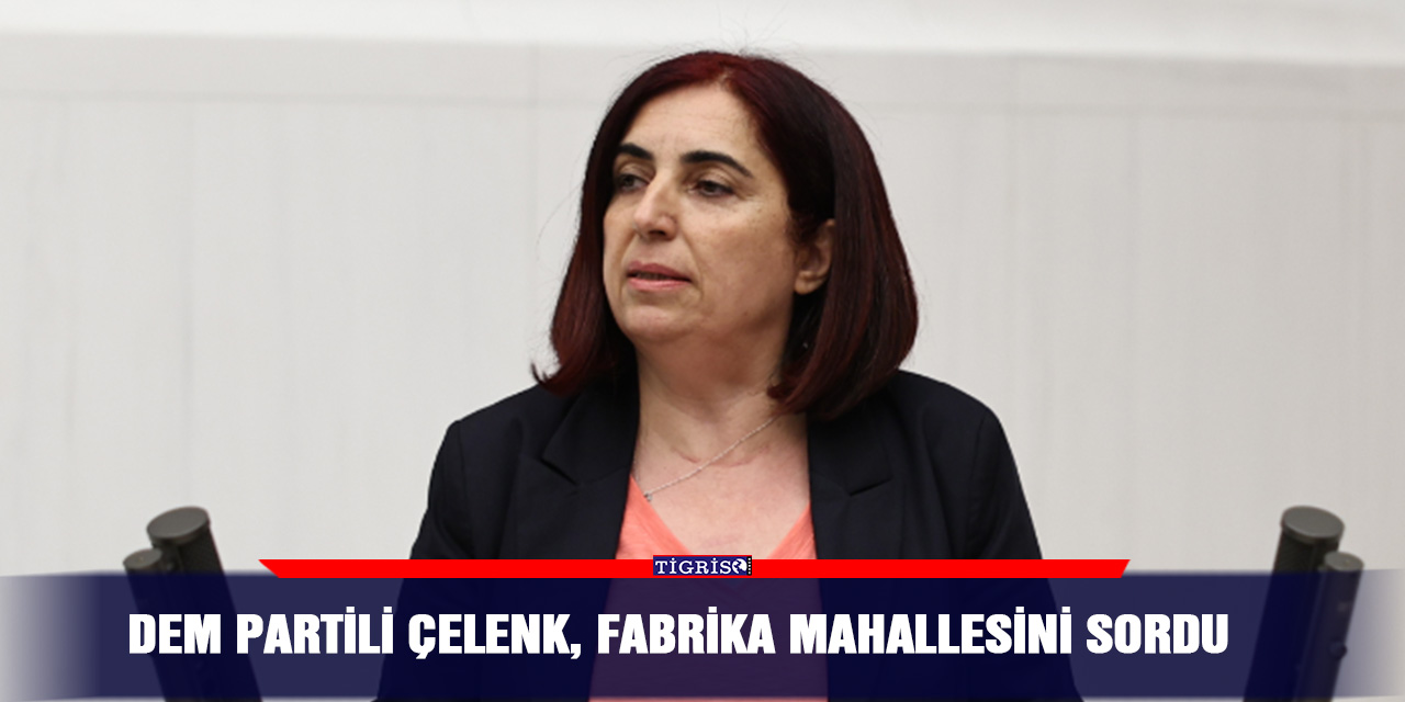 DEM Partili Çelenk, Fabrika mahallesini sordu