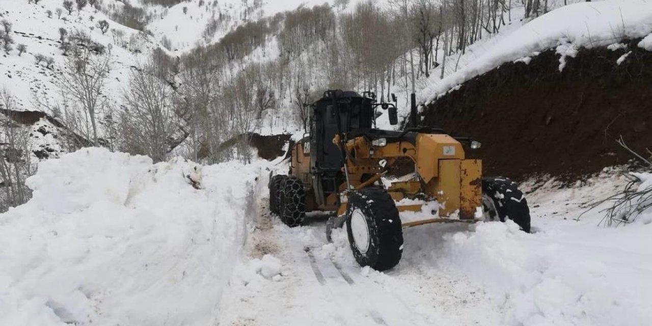 Kar nedeniyle kapanan 22 köy yolu açıldı