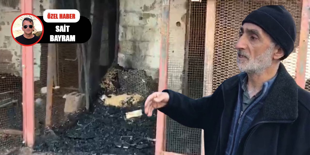 VİDEO - Güvercin oteli enkaza döndü!