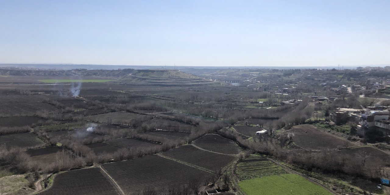 Hevsel Bahçelerinde ağaç kıyımı