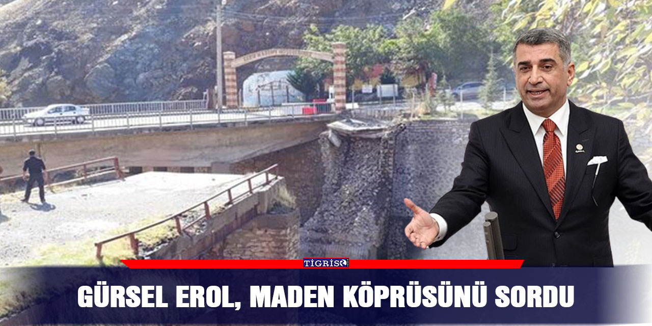 Gürsel Erol, Maden köprüsünü sordu