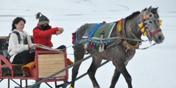 Donan gölde atlı kızak heyecanı sürüyor
