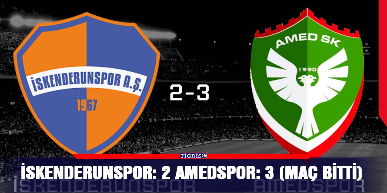 İskenderunspor: 2 Amedspor: 3 (Maç bitti)