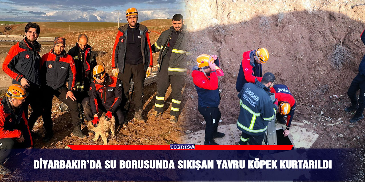 Diyarbakır’da su borusunda sıkışan yavru köpek kurtarıldı