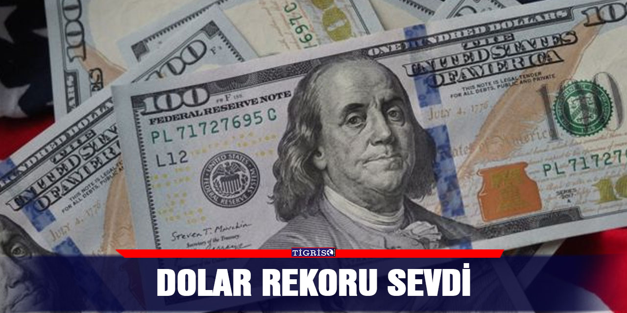 Dolar rekoru sevdi