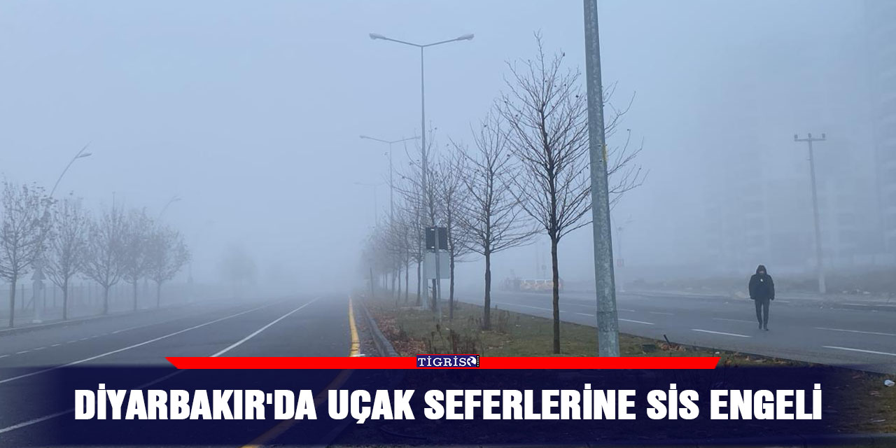 VİDEO - Diyarbakır'da uçak seferlerine sis engeli