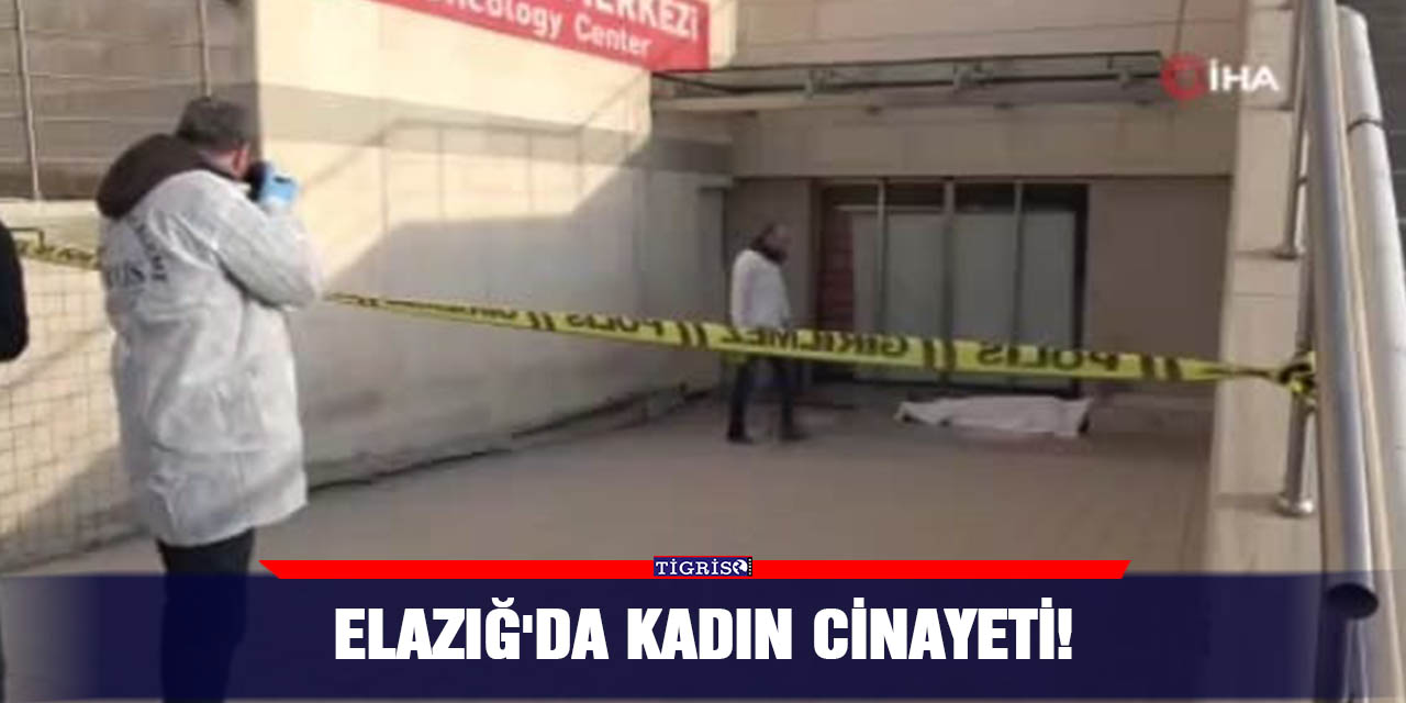 Elazığ'da kadın cinayeti!