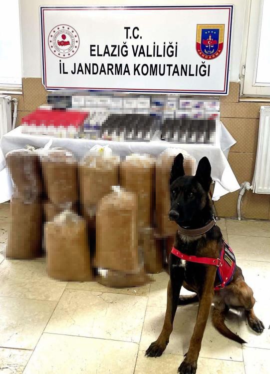 Kaçakçılık operasyonu: 1 gözaltı