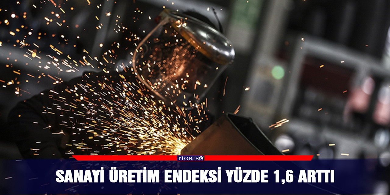 Sanayi üretim endeksi yüzde 1,6 arttı