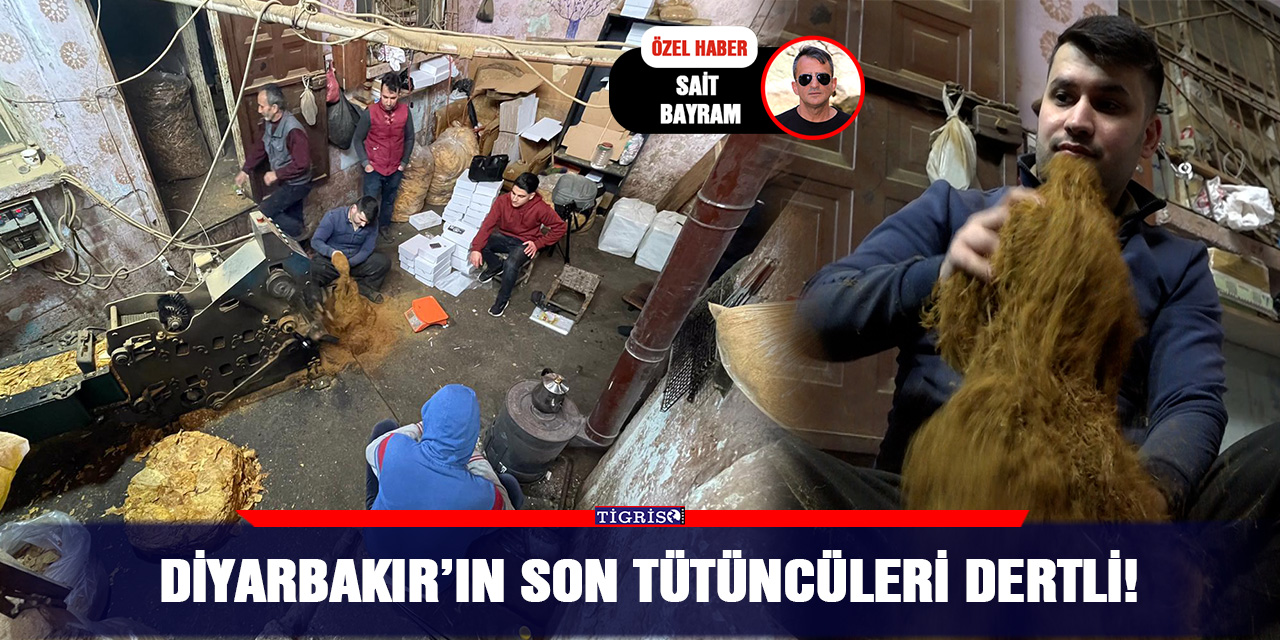VİDEO - Diyarbakır’ın son tütüncüleri dertli!