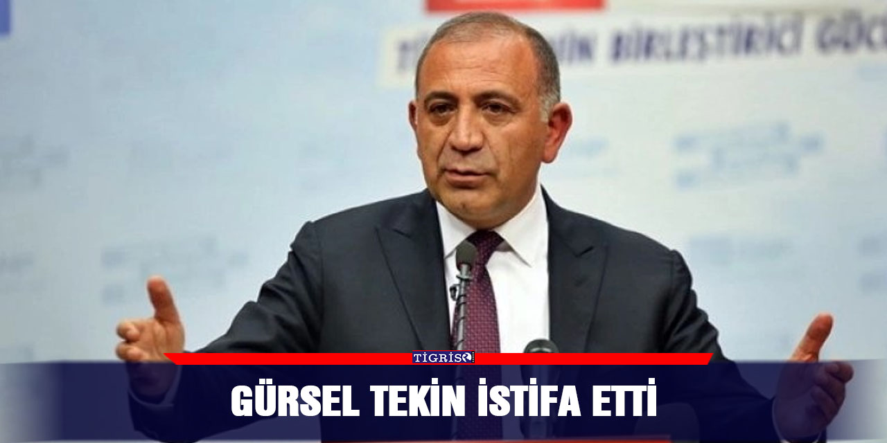 Gürsel Tekin istifa etti