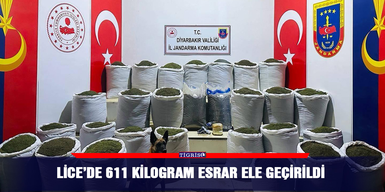 Lice’de 611 kilogram esrar ele geçirildi
