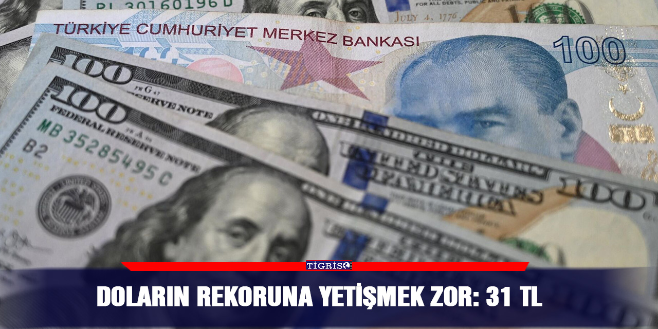Doların rekoruna yetişmek zor: 31 TL