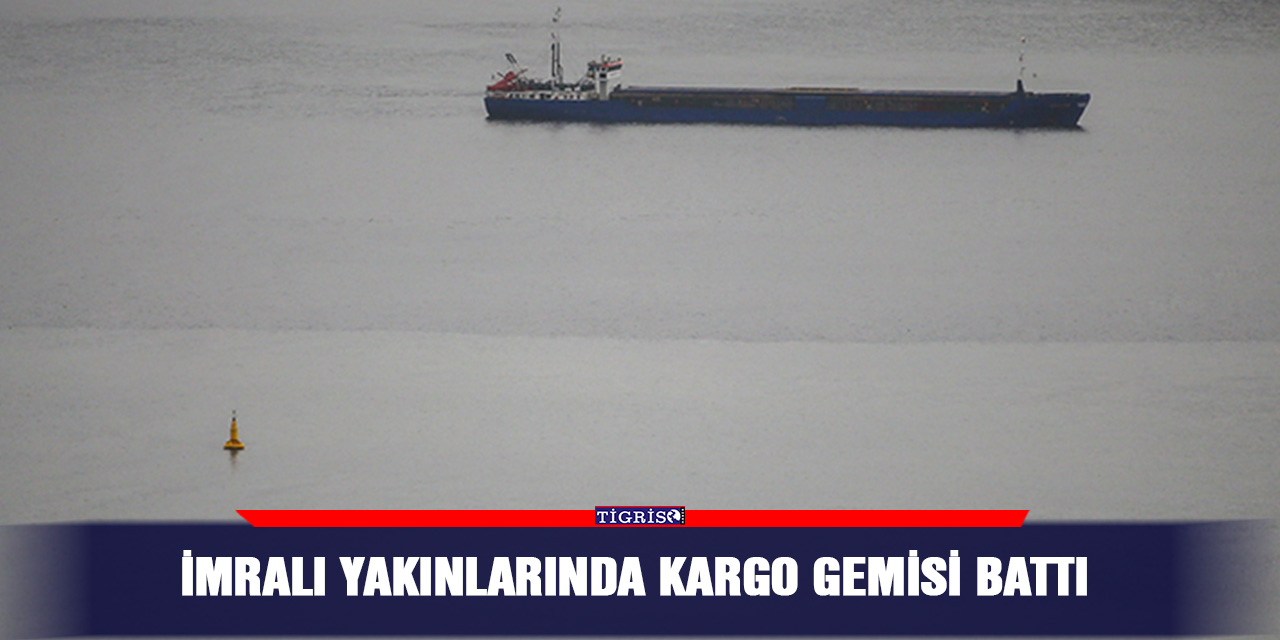 İmralı yakınlarında kargo gemisi battı