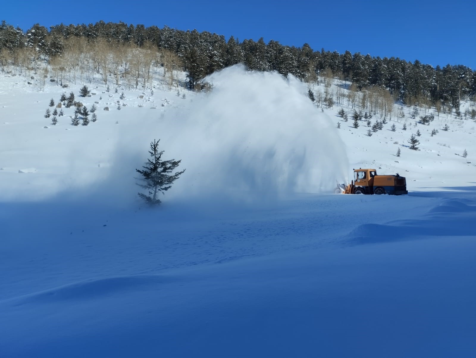Yoğun kar yağışı etrafı beyaza bürüdü
