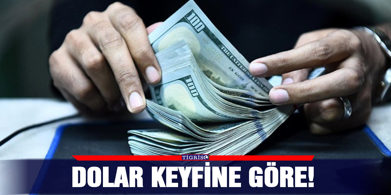 Dolar keyfine göre!