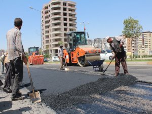 Kavurucu sıcakta "ekmek" mücadelesi