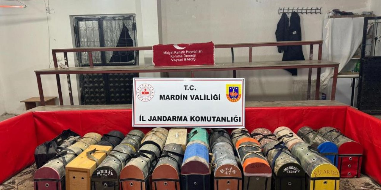 Mardin’de horoz dövüştürenlere 578 bin lira ceza