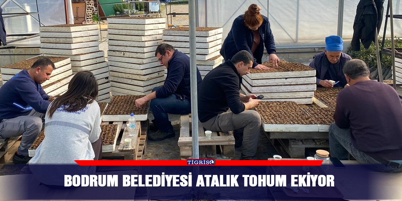 Bodrum Belediyesi Atalık Tohum Ekiyor