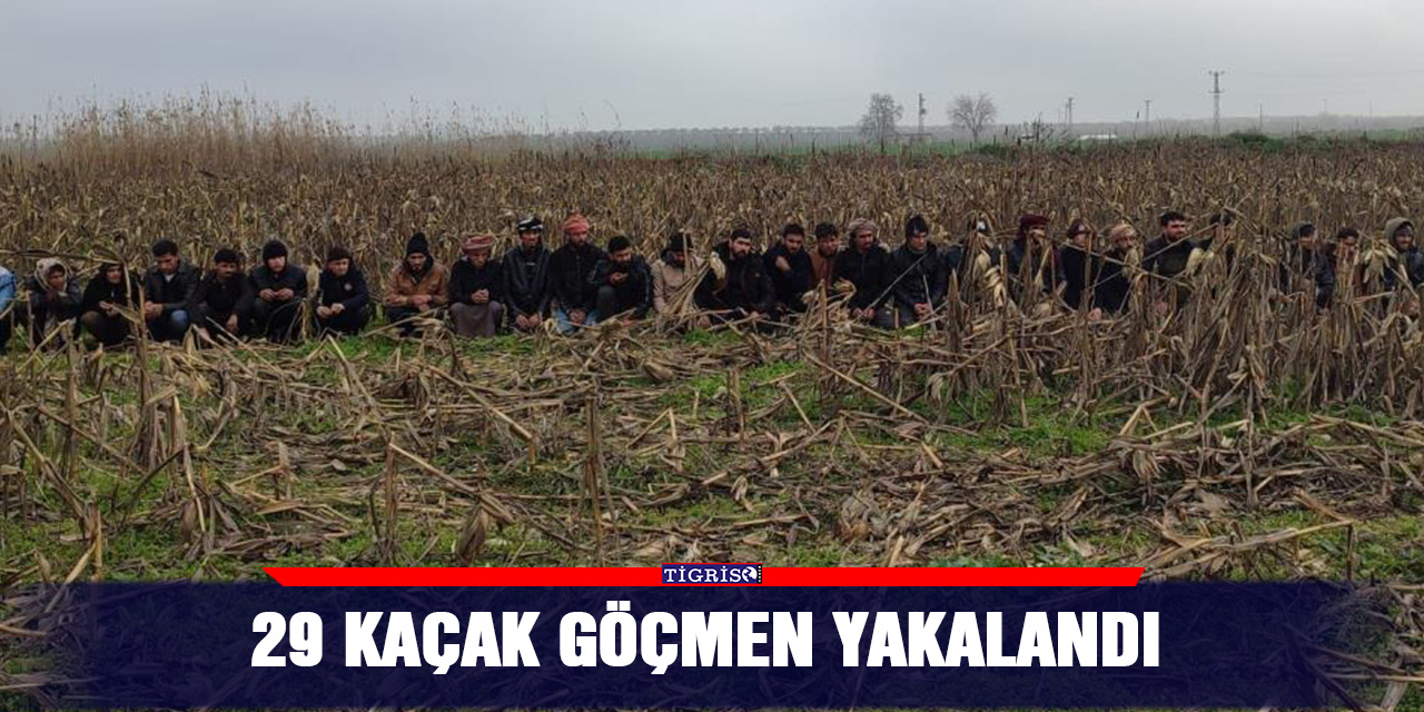 29 kaçak göçmen yakalandı