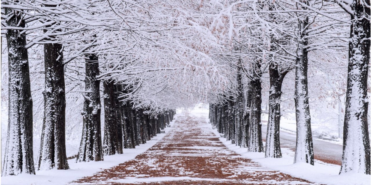 KIŞ MEVSİMİNİN ESTETİK AVANTAJLARI