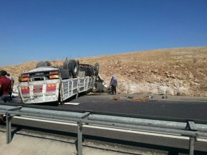 Şanlıurfa'da kamyon devrildi: 5 yaralı