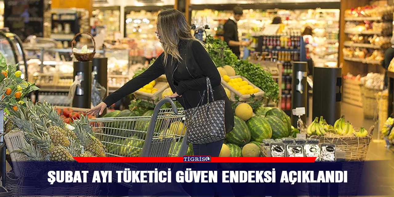 Şubat Ayı Tüketici Güven Endeksi Açıklandı