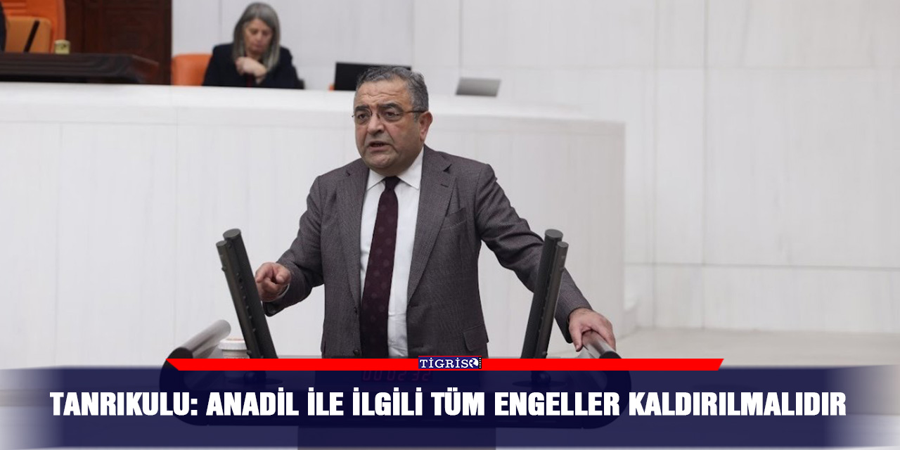 Tanrıkulu: Anadil ile ilgili tüm engeller kaldırılmalıdır