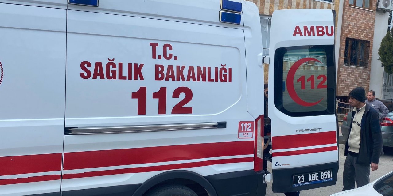 Kediye çarpmamak için kaza yaptı