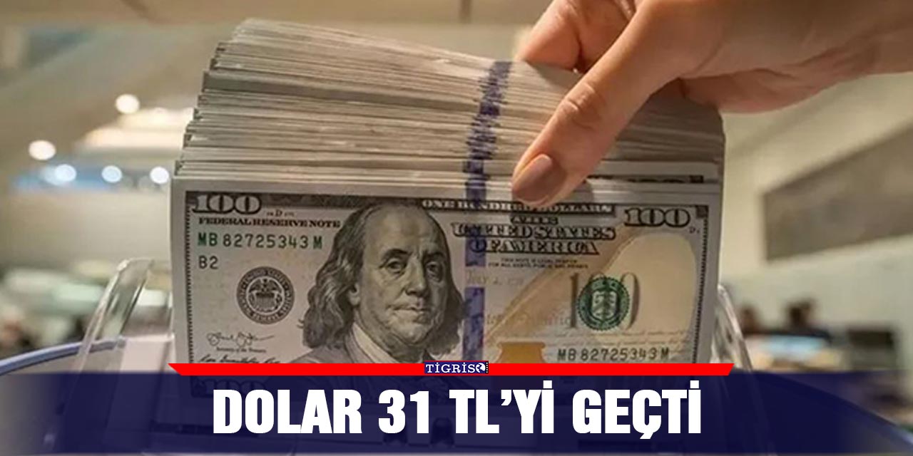 Dolar 31 TL’yi geçti