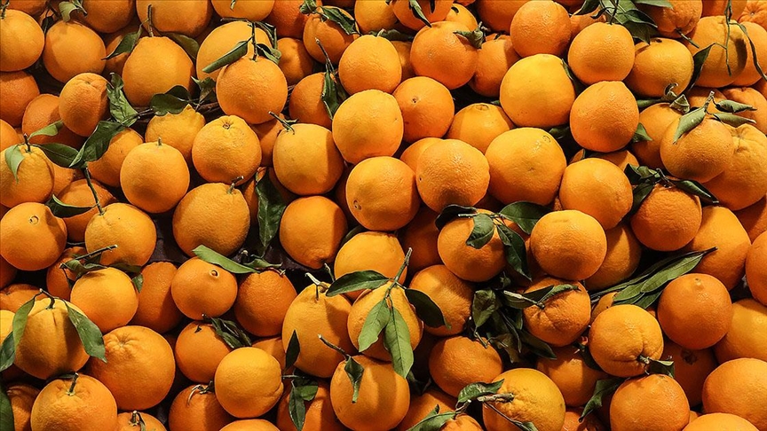 Türkiye'nin narenciye ürünleri ihracatı 1 milyar doları aştı