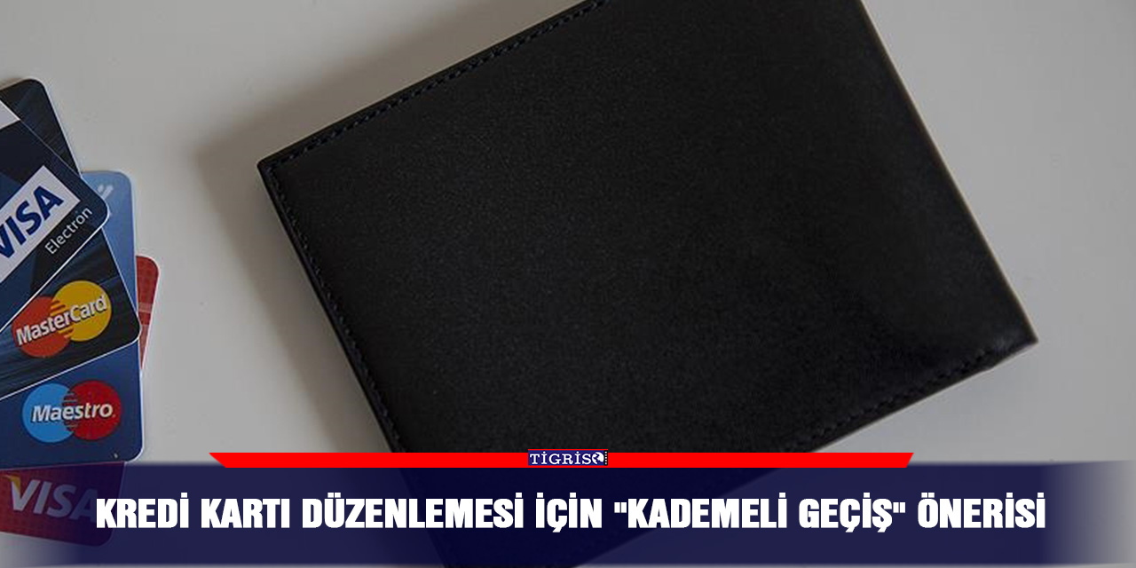 Kredi kartı düzenlemesi için "kademeli geçiş" önerisi