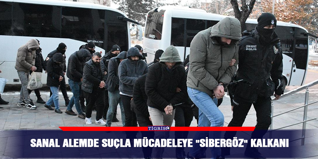 Sanal alemde suçla mücadeleye "Sibergöz" kalkanı