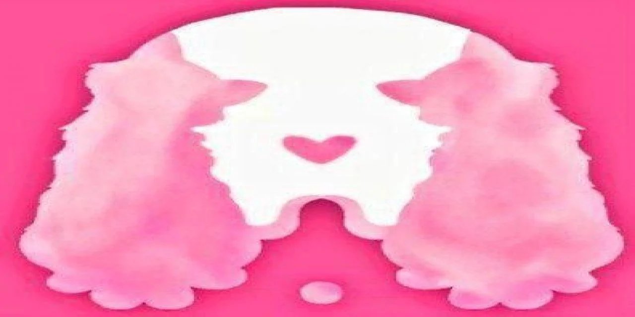 Bağımlılık testi: Resimde ne görüyorsunuz?