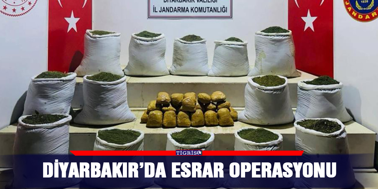 Diyarbakır’da esrar operasyonu