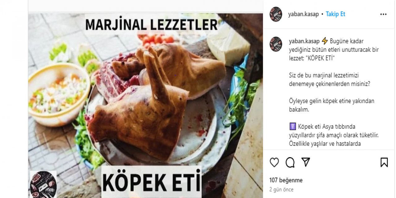 Sosyal medyada köpek eti satışı iddiası