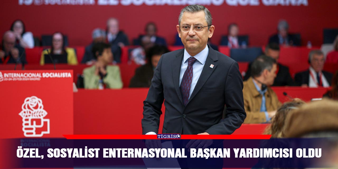 Özel, Sosyalist Enternasyonal Başkan Yardımcısı oldu