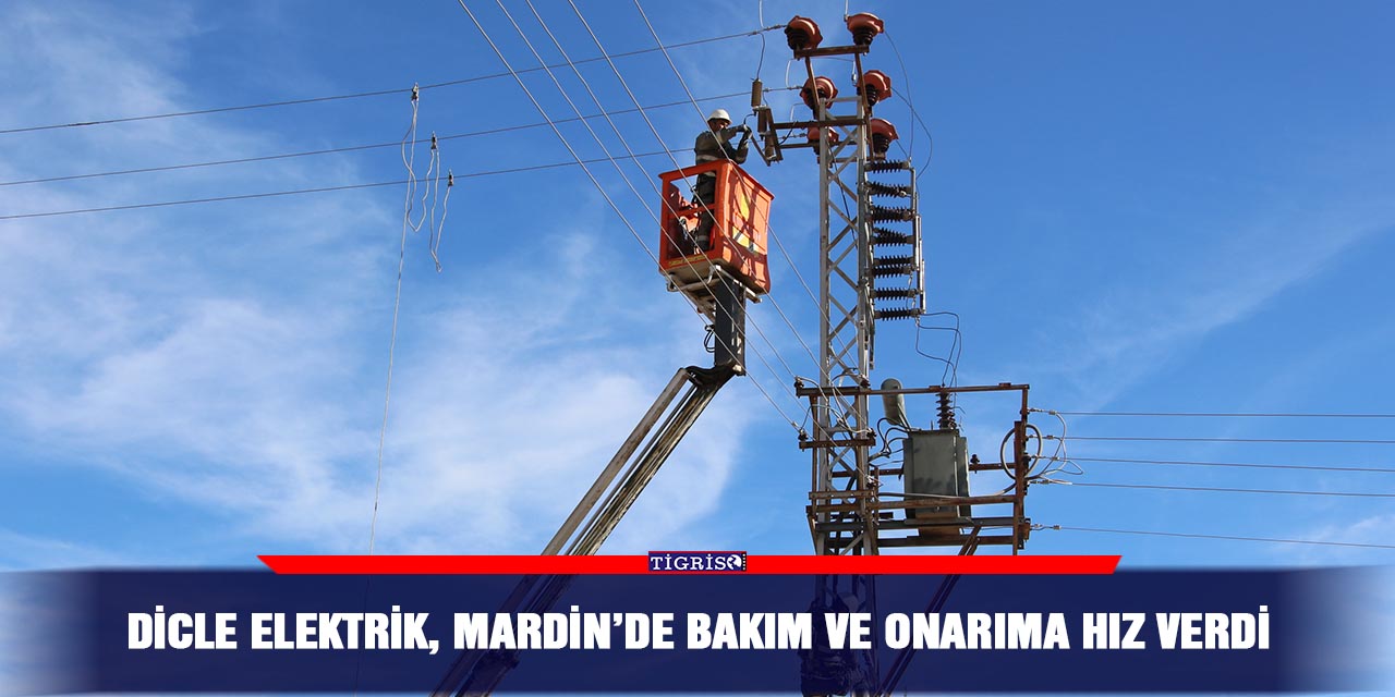 Dicle Elektrik, Mardin’de bakım ve onarıma hız verdi