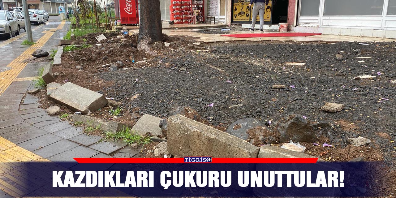 Kazdıkları çukuru unuttular!