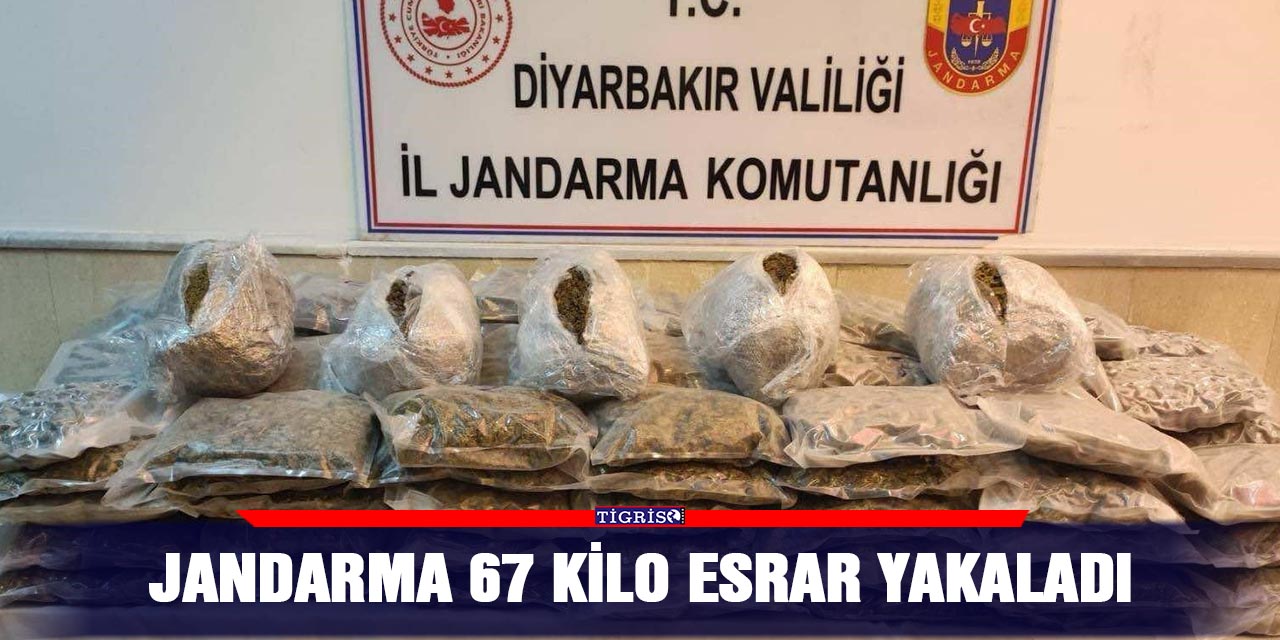 Jandarma 67 kilo esrar yakaladı