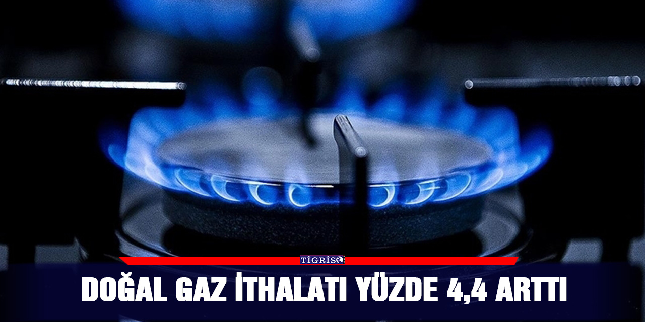 Doğal gaz ithalatı yüzde 4,4 arttı