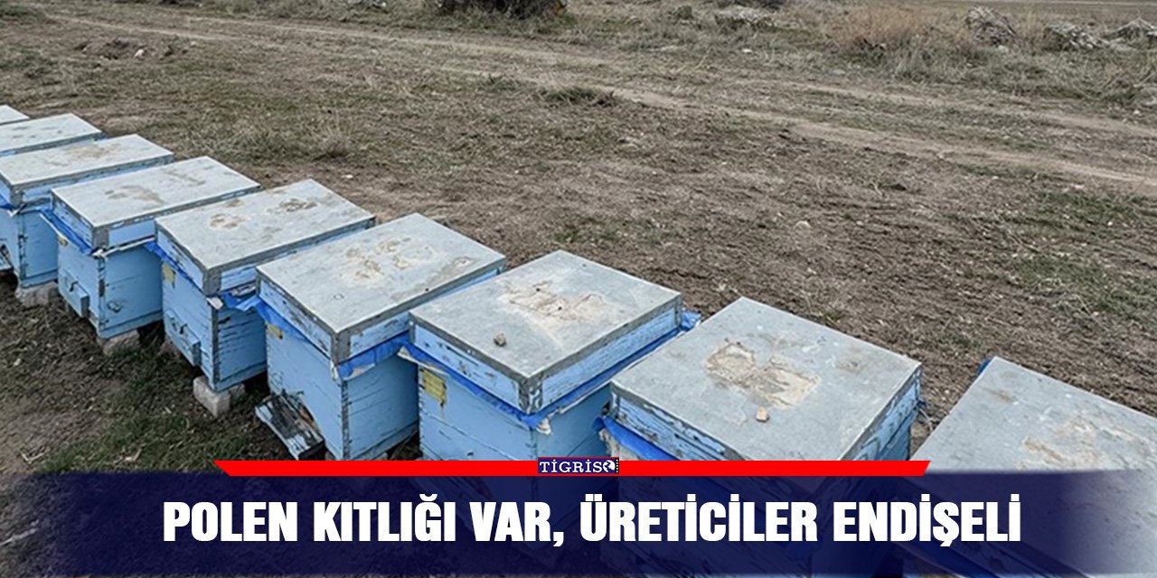Polen kıtlığı var, üreticiler endişeli!