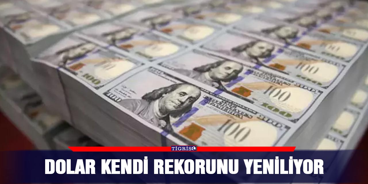 Dolar kendi rekorunu yeniliyor