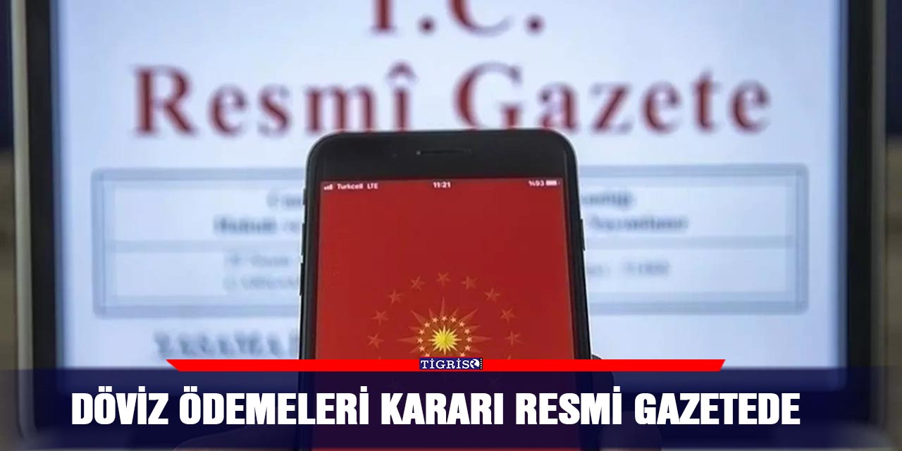Döviz ödemeleri kararı resmi gazetede