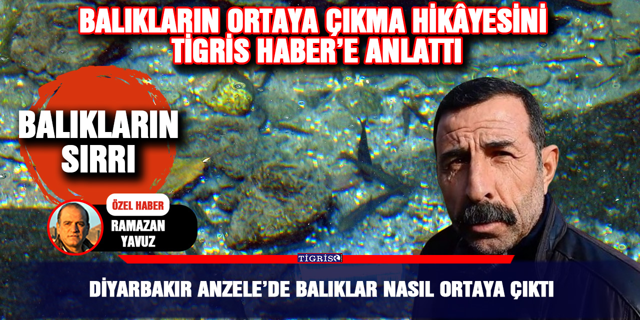 VİDEO - Diyarbakır Anzele’de balıklar nasıl ortaya çıktı