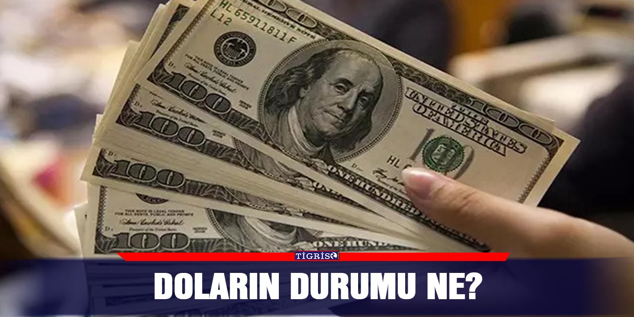 Doların durumu ne?