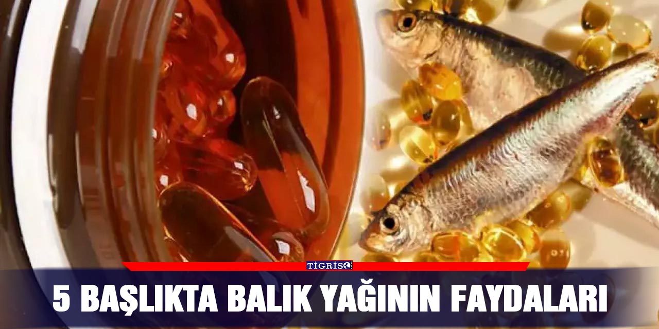 5 başlıkta balık yağının faydaları