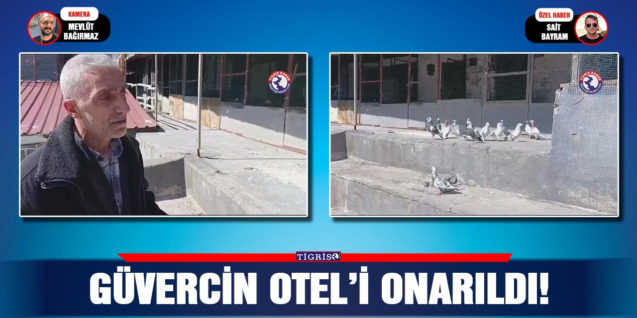 VİDEO - Güvercin Otel’i onarıldı!