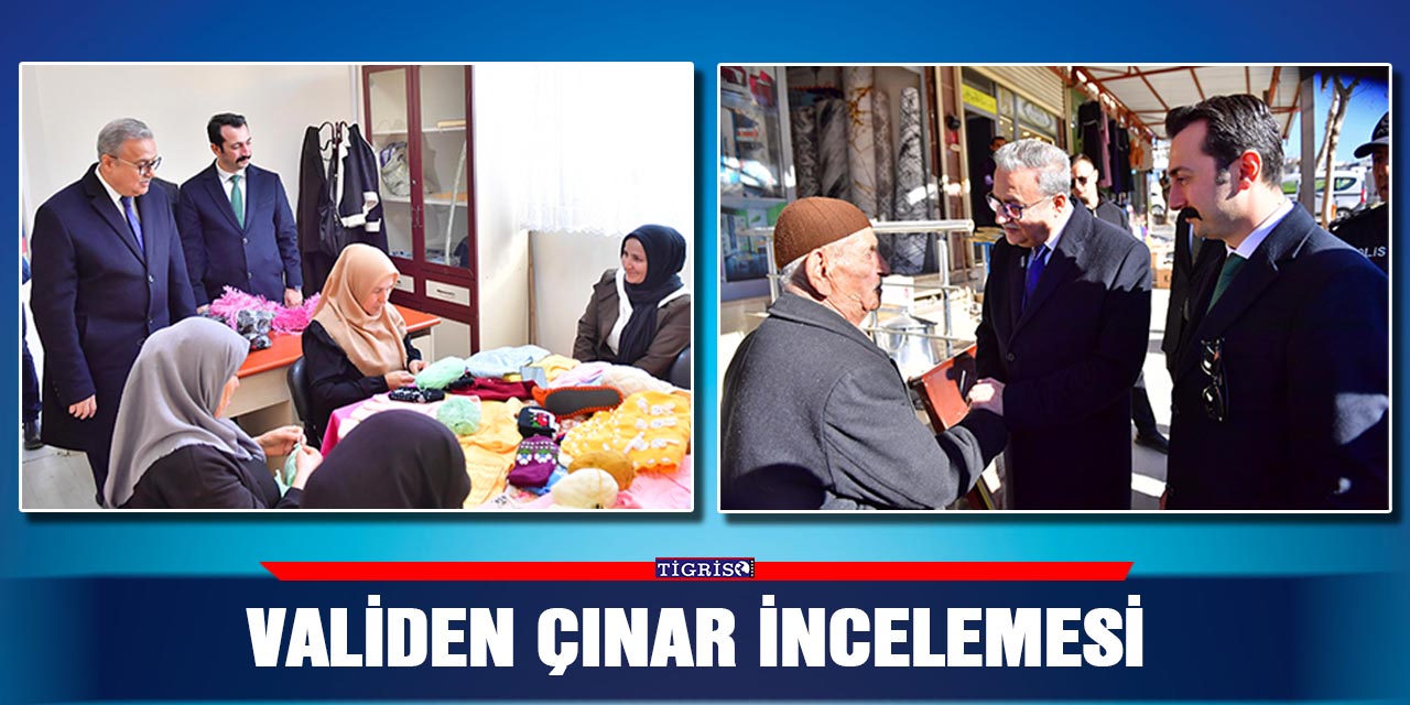 Validen Çınar incelemesi