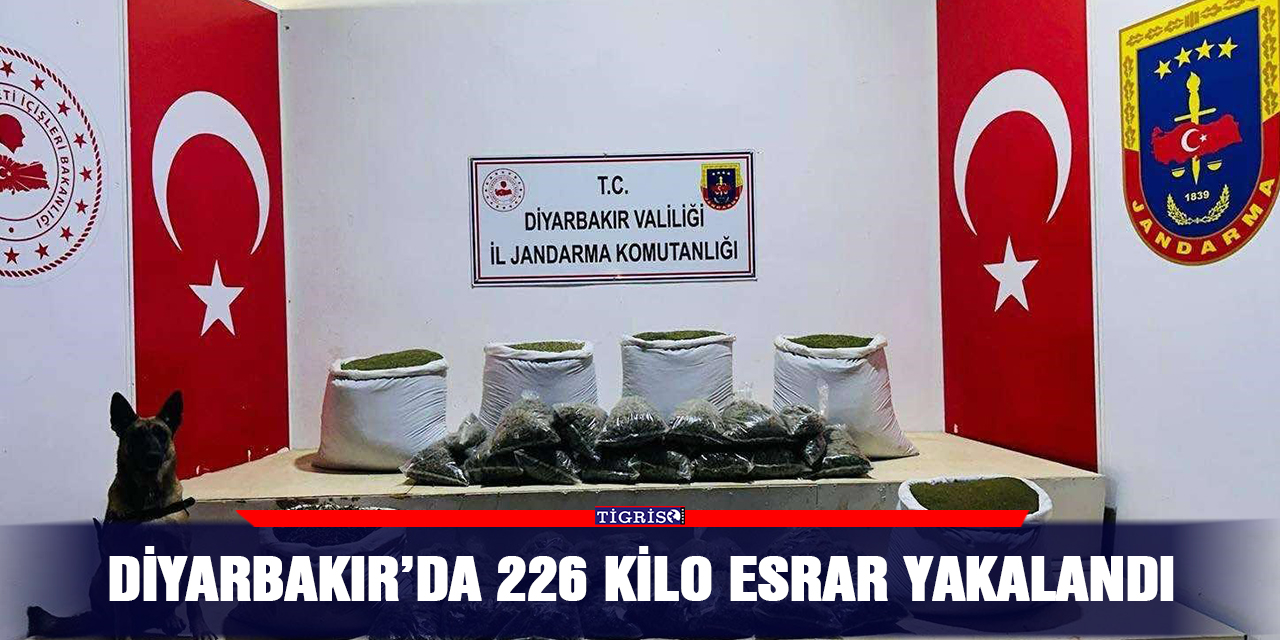 Diyarbakır’da 226 kilo esrar yakalandı